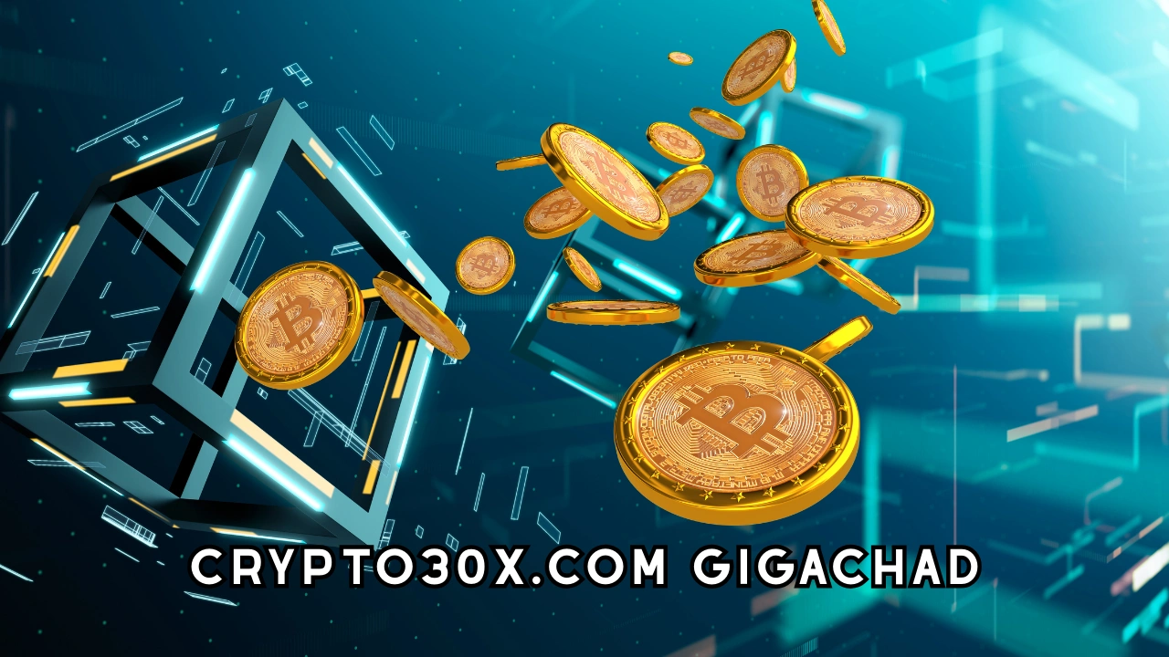 Crypto30x.com Gigachad